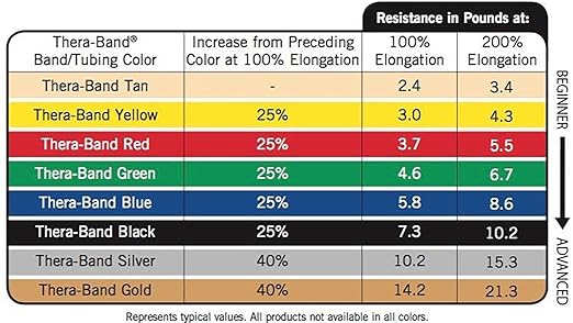THERABAND Resistance Bands Set, Professional Elastic Band For Upper & Lower Body Exercise, Strength Training without Weights, Physical Therapy, Lower Pilates, & Rehab, Blue & Black, Advanced
