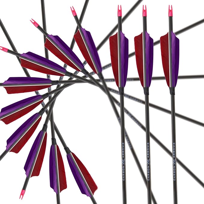 600 Spine Pure Carbon Arrows with Real Turkey Feathers Removable 100 Grain Tips Plastic Nocks for Archery Target Hunting