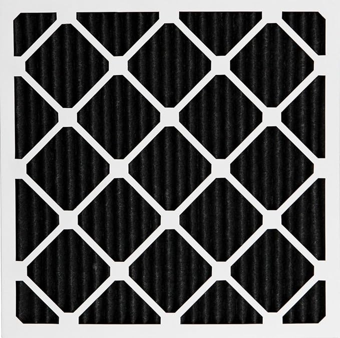 Nordic Pure 25x25x1 (Actual Size: 24 1/2 x 24 1/2 x 3/4) Pure Carbon Pleated Odor Reduction Furnace Air Filters 2 Pack