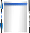 24Pcs 31" Carbon Archery Arrows, Spine Matched for Hunting & Target Practice for Compound & Recurve Bows, Durable Carbon Shaft and Removable Tips‌