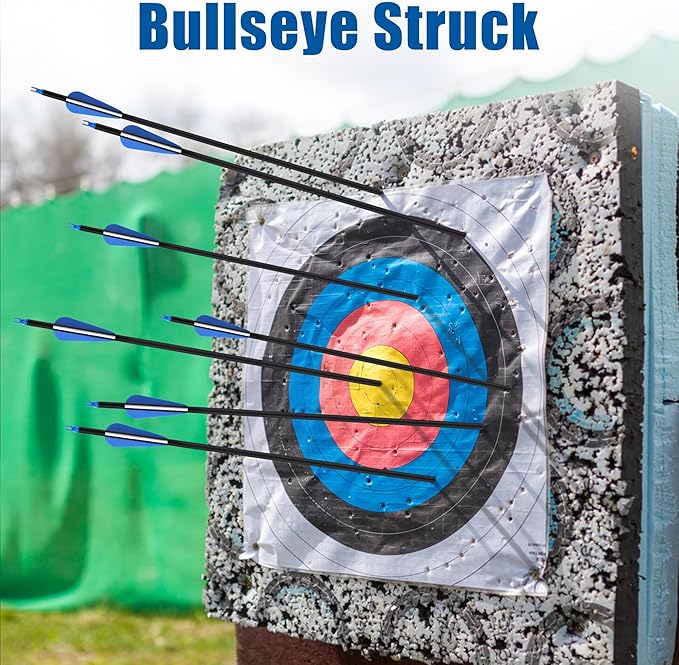 24Pcs 31" Carbon Archery Arrows, Spine Matched for Hunting & Target Practice for Compound & Recurve Bows, Durable Carbon Shaft and Removable Tips‌