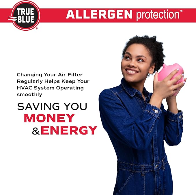 True Blue 324241.4 Allergen 24-Inch by 24-Inch by 1-Inch Air Filter, 4-Pack