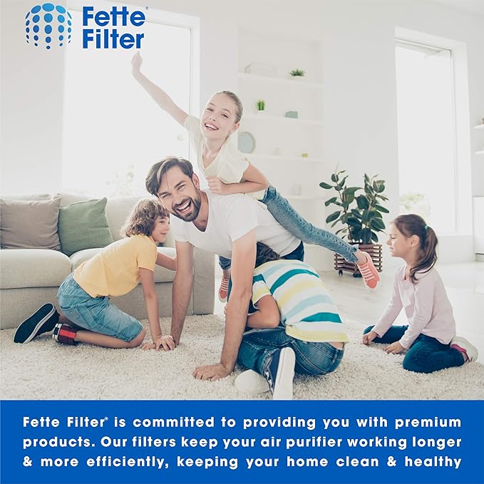 Fette Filter - Air Cleaning Filter, 9" x 15" Compatible With 3M Filtrete FAPF02 & FAPF024 for model # FAP01-RMS, FAP02-RMS, FAP02 - Pack of 4