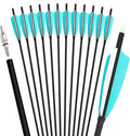 ZSHJGJR 30 Inch Archery Carbon Arrows Hunting Arrows with 4” Turkey Feather Target Practice Arrows Spine 500 for Compound & Recurve &Traditional Bow 6/12pcs